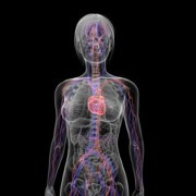 Heart Disease related image